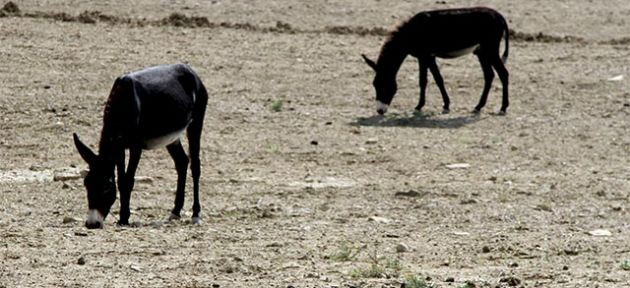 Durum tespiti yapıldı