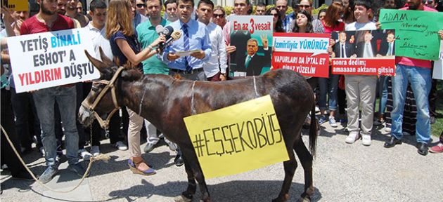 Eşekli protesto