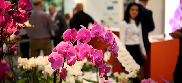 Flower Show 2014