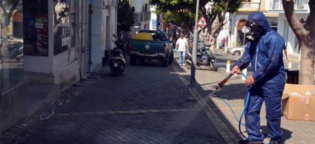 Girne’de kene alarmı