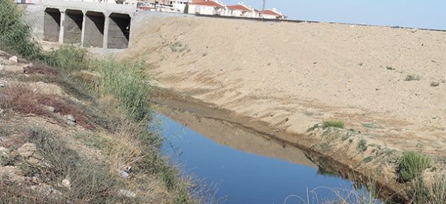 “Hastalıktan öleceğiz”