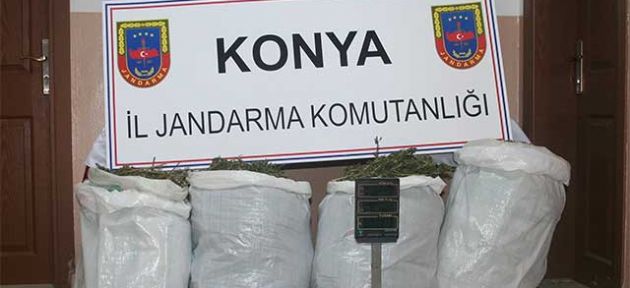 Ilgın’da zehir avı