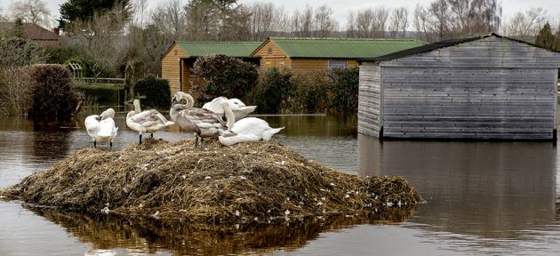 İngiltere'de,  yoğun yağış ve sel dolayısıyla çok sayıda ev, tarla ve yol sular altında kaldı