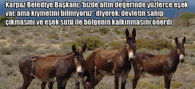 İşte fırsat