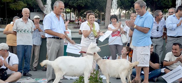 Keçili eylem