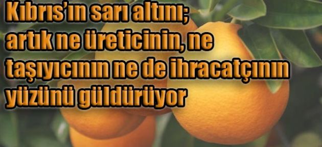 Pul kadar değeri yok