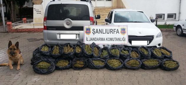 Şanlıurfa'da 218 kilo esrar 