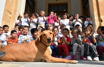 Girne Belediyesi, Beylerbeyi Anaokulu’nda Hayvan Sevgisi Farkındalık Etkinliği düzenledi