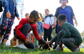 Tekirdağ'da hayvan sevgisini arttırmak ve sokak hayvanlarına sahip çıkılmasını sağlamak amacıyla etkinlik düzenlendi