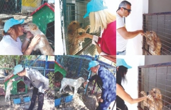 Merit Lefkoşa Hotel yönetici ve çalışanları, hayvan barınağını ziyaret etti