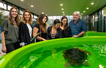 ‘Müstakbel Damat’ın oyuncuları yaralı kaplumbağaları ziyaret etti