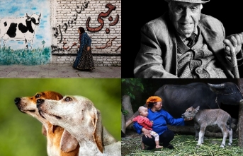 XXIX. Devlet Fotoğraf Yarışması’nın sonuçları açıklandı