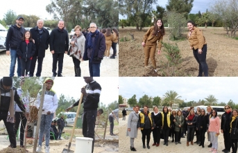 Kurucu Cumhurbaşkanı Rauf Raif Denktaş’ın anıt mezarına fidan dikildi