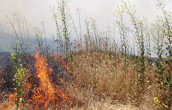 Girne’de izinsiz ateş yakan kişiye yasal işlem