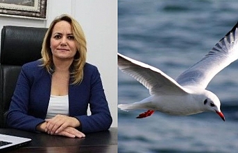 Havva DAĞSEVER - Konuk Yazar