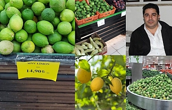 Limon üretiminde de büyük başarı