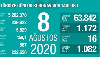 Türkiye'de 24 saatte bin 172 yeni vaka