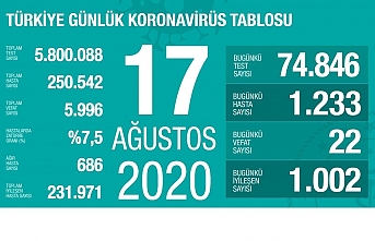 Türkiye’de vaka sayısı 250 bini geçti
