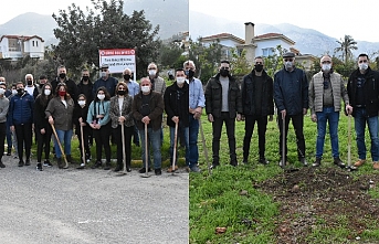 Belediye ekipleri ve Başkan Güngördü, Bellapais’te fidan dikti