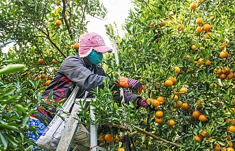 1 Haziran’a kadar geçerli