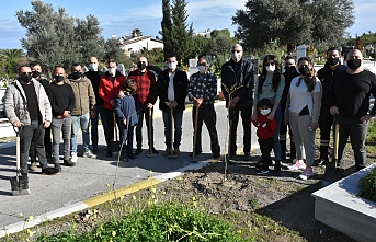 Girne Belediyesi, Karaoğlanoğlu Mezarlığı’na 100 fidan dikti