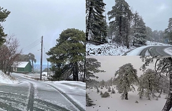 Trodos’a yılın ilk karı yağdı