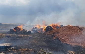 Büyük zarar verdi