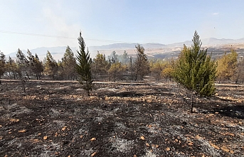 500 dönüm arazi yandı