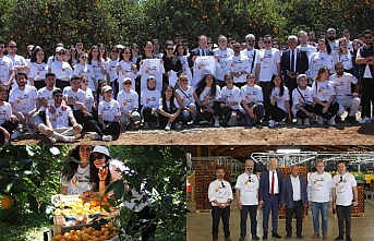 Güzelyurt’ta portakal toplandı