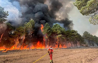 Avrupa alarma geçti