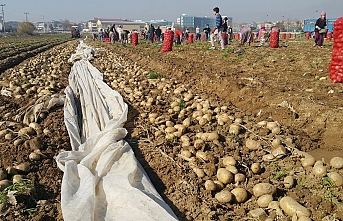 Kaynağı Türkiye gönderdi