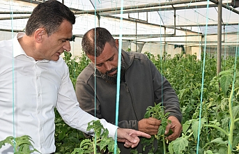 ‘Üretim desteklenecek’