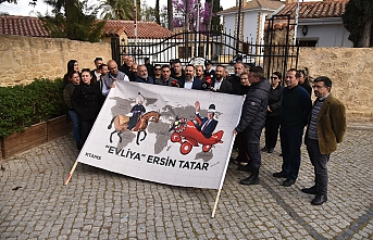 Fesli ve yastıklı eylem