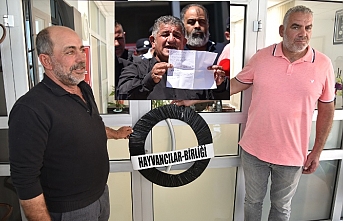 260 dolardan 360’a fırladı