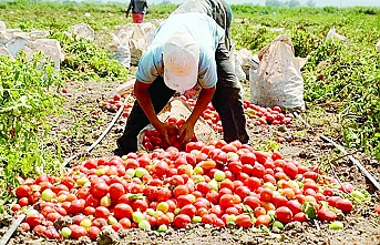 Detaylar açıklandı