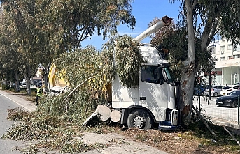 Yoldan çıkılarak ağaca çarptı