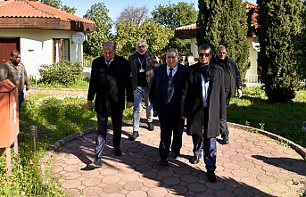 Küresel bir sorun