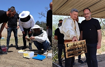 Arıcılık gelişecek