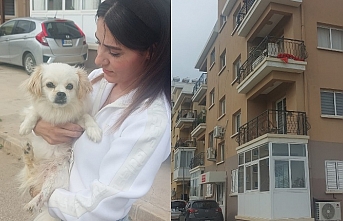 Koryürek tutuklandı
