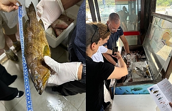 Devamı gelecek