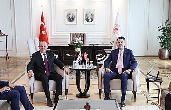 Güçlü destek