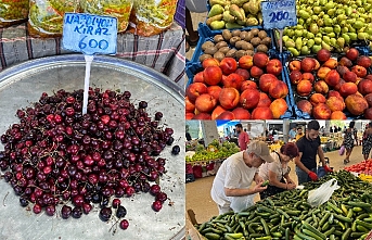 Güneyden pahalı