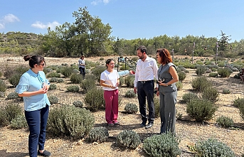 Çalışmalar incelendi