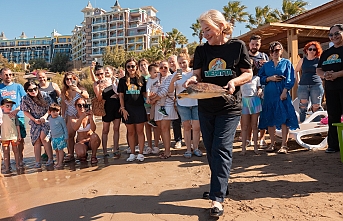 Deniz kaplumbağaları mavi sulara bırakıldı