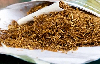 İkisi Kıbrıslı Türk