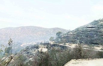 Kontrol altına alındı