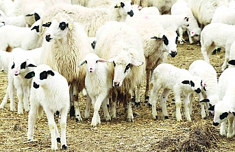 Gelir desteği alamayacak