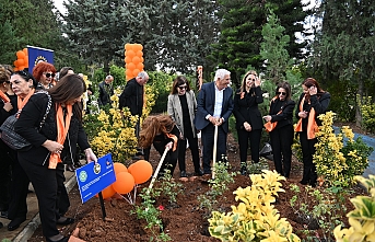 Gül Bahçesi oluşturuldu