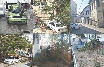 Aracın üzerine düştü