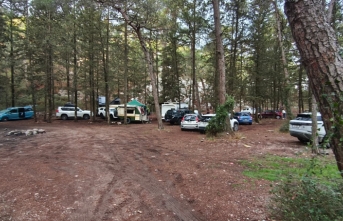 Patika’dan Orman Dairesi’ne “ücret” tepkisi